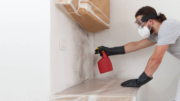 Professional Bathroom Mold Removal technician working in Mesquite, TX