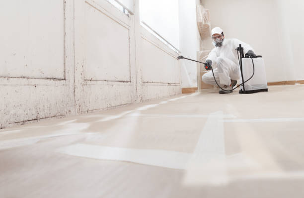 24/7 Emergency Bathroom Mold Removal experts in Mesquite, TX